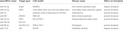 The role of microRNAs in ferroptosis